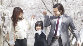 自動車・バイク保険