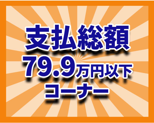 支払い総額79.9万円以下
